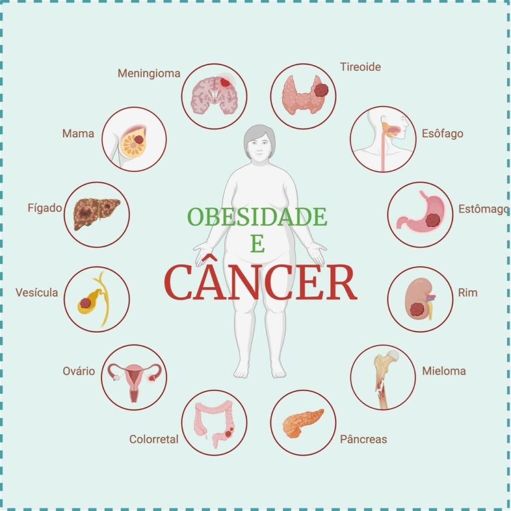 Combate à Obesidade: Como o Controle do Peso Pode Reduzir o Risco de Câncer?